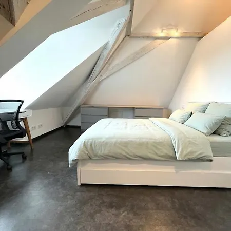 Einzigartige Dachgeschoss-loft Mit Dachterrasse Appartement Augsbourg
